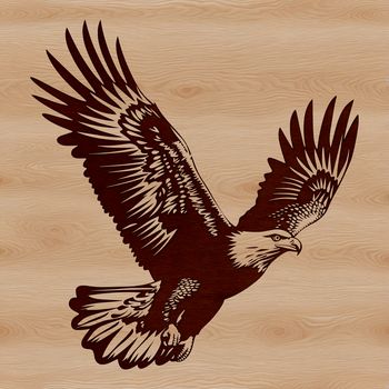 A detailed illustration of a majestic eagle in flight, with wings spread wide.