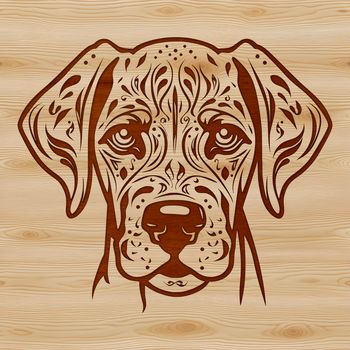 A detailed illustration of a Great Dane's head, featuring intricate details suitable for various design purposes.