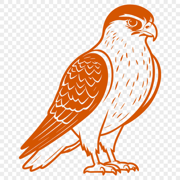 A detailed illustration of a falcon in mid-flight, created as a vector graphic for commercial and personal use.