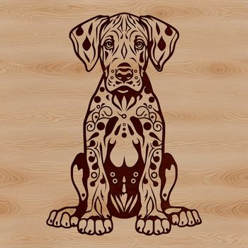 A large breed dog, the Great Dane, sitting with its head held high.