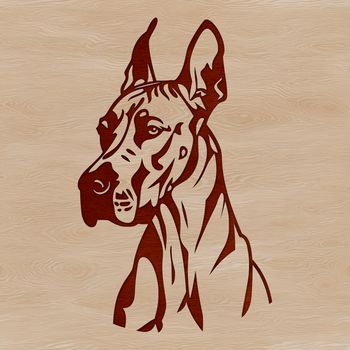 Illustration of a large breed dog, specifically a Great Dane, in vector format.
