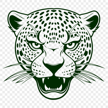 A close-up view of a jaguar's head, highlighting its distinctive facial features and fur patterns.