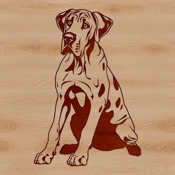 A large breed dog sitting on its haunches, suitable as vector art for various design applications.