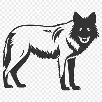 A detailed illustration of a standing wolf, suitable for use in vector design projects.