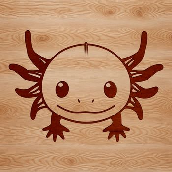 A detailed illustration of a salamander's head with feathery gills and a flattened body.