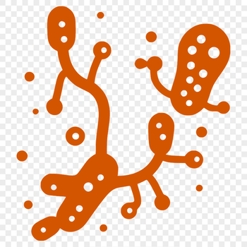 Illustration of a single-celled microorganism, vector graphic.