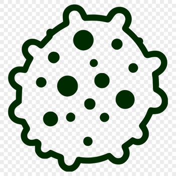 A microscopic illustration of a single bacterium in vector format.