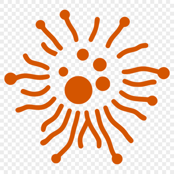 A stylized illustration of a single bacterial cell in vector format.