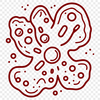 Bacteria cell illustration in vector format.