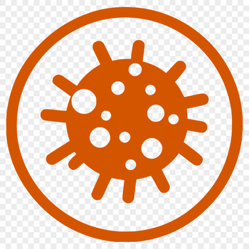 Microscopic illustration of a bacteria cell in vector format.