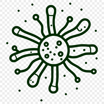 A detailed illustration of a single bacterium with simple shapes and lines.
