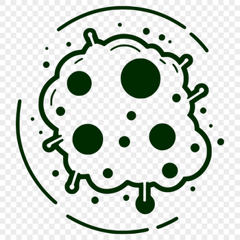 A simple illustration of a bacterium with rounded edges and defined shapes, suitable for vector graphics and digital design.