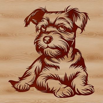 A portrait illustration of a small-sized dog breed with a bearded face.