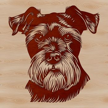 A portrait illustration of a miniature dog breed, including its head features.