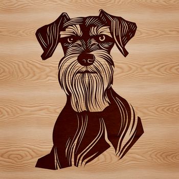 A vector graphic image featuring the face of a small-sized Schnauzer breed.