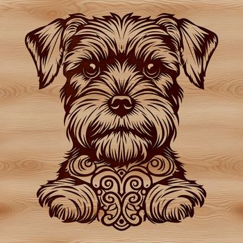 A detailed illustration of a miniature dog breed with distinctive features.