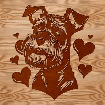 Miniature Schnauzer dog breed illustration in vector format