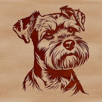 A portrait illustration of a small dog with a distinctive beard.