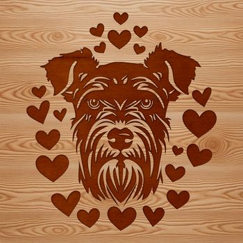 A close-up illustration of a miniature schnauzer's head, with decorative love hearts surrounding the dog's face.