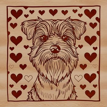 Close-up portrait of a Miniature Schnauzer dog with heart designs on its head, suitable for pet owners and animal lovers.