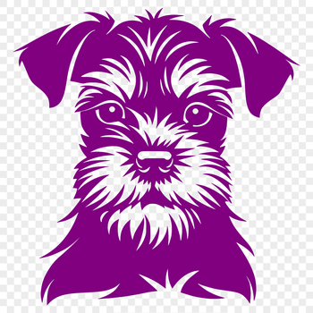 Illustration of a miniature schnauzer's head.