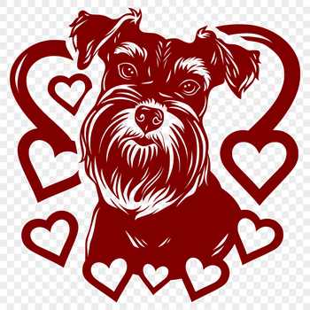 A digital illustration of a Miniature Schnauzer's head with love hearts surrounding its face.