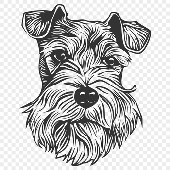 A detailed illustration of a miniature schnauzer's head with facial features and fur texture.