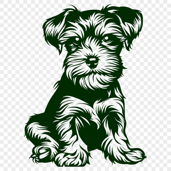 A portrait of a small dog breed, the miniature schnauzer, sitting on its haunches.