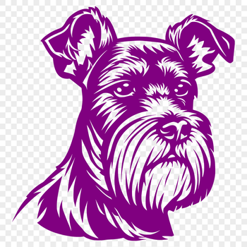 A close-up illustration of a Miniature Schnauzer's head, suitable for pet owners and designers looking for vector art.