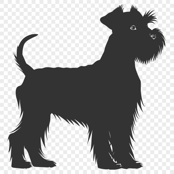 A realistic illustration of a standing miniature dog with distinctive facial features.