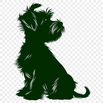 Close-up illustration of a seated miniature schnauzer dog with detailed fur and facial features.