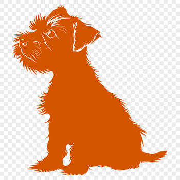 A compact dog breed with a distinctive bearded face and wiry coat, depicted in full-body view sitting on its haunches.