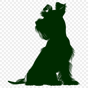 A detailed illustration of a Miniature Schnauzer in full body pose, sitting upright.