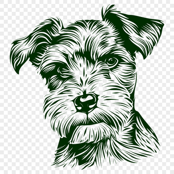 A high-quality illustration of a Miniature Schnauzer dog breed.