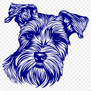 Illustrative vector design of a miniature dog breed, specifically the Miniature Schnauzer.