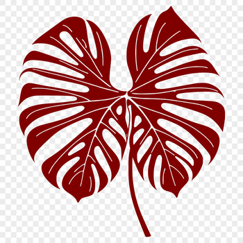 An SVG design of a single leaf with detailed shape and structure.