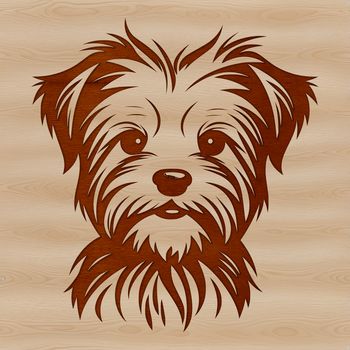 A small, energetic dog breed with a mixed heritage, featuring a cute head and endearing expression.