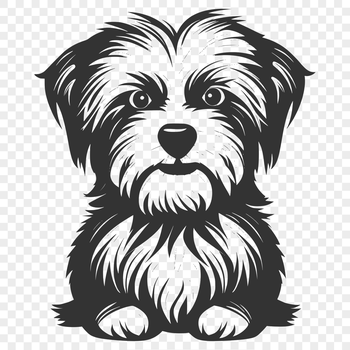 A full-body illustration of a Morkie sitting with a calm expression.