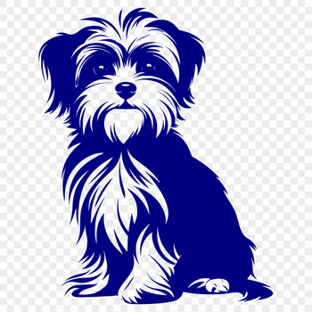 Beautiful Sitting Morkie PDF