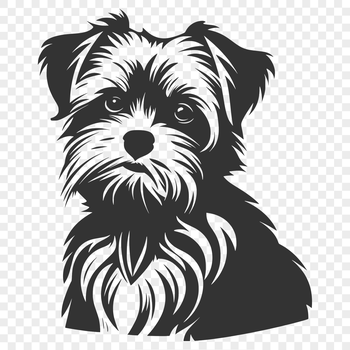 A full-body illustration of a Morkie dog in a sitting position.