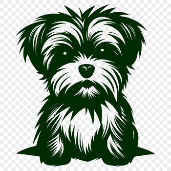 A full-body illustration of a sitting Morkie dog in vector format.