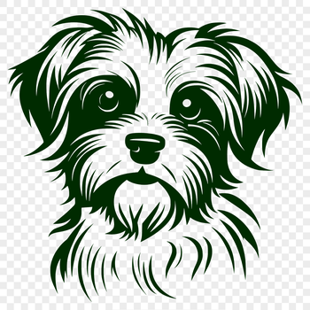 A small dog breed's head with distinctive features.