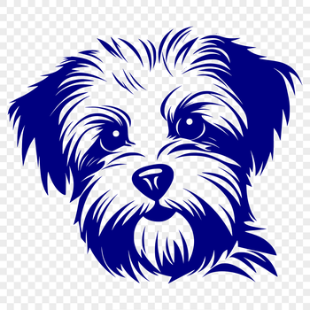 A small mixed-breed dog with a Morkie appearance.