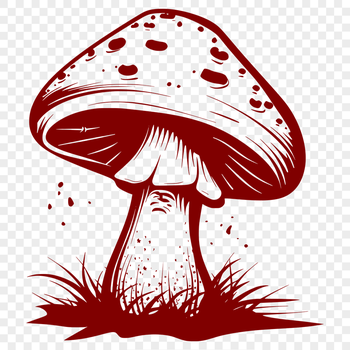 Creative Mushroom Vector Image