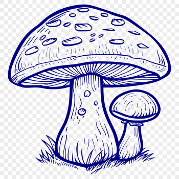 A detailed vector illustration of a mushroom.