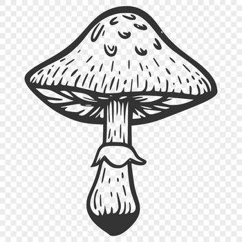 Illustrated mushroom design with detailed texture and shading, suitable for printing or cutting out.
