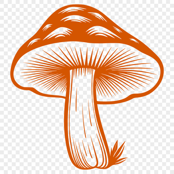 Illustration of a mushroom in vector format