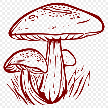 Artistic Mushroom PNG