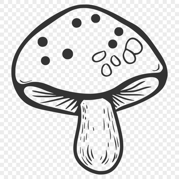 A detailed illustration of a single mushroom with a cap and stem, created as a vector graphic.