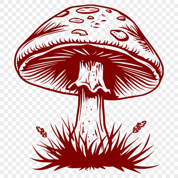 Artistic Mushroom PDF